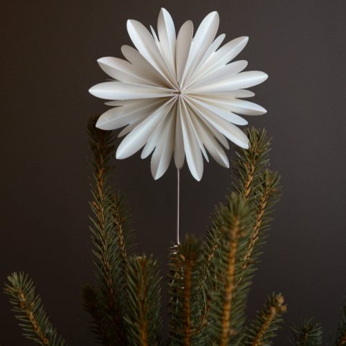 DBKD - DBKD Tree Tops flower White