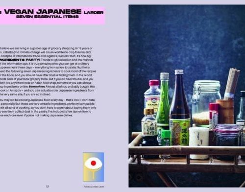 New Mags - Vegan Japaneasy